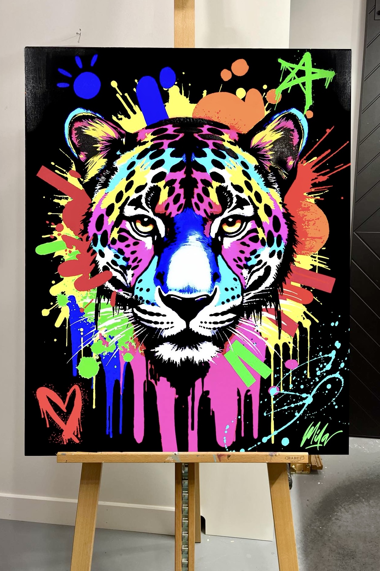 Jaguar Splash (view)